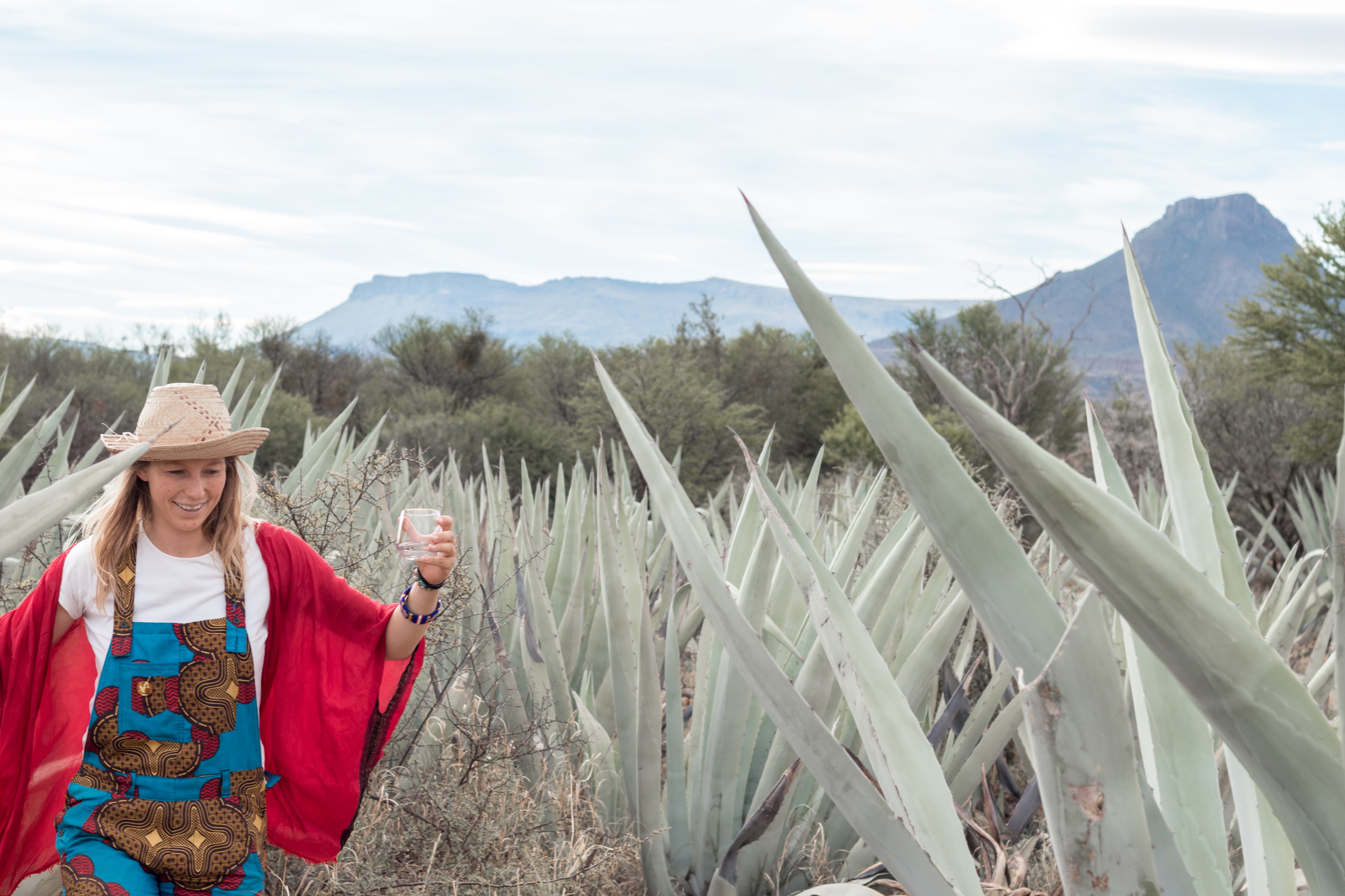 Our Industry of Tequila