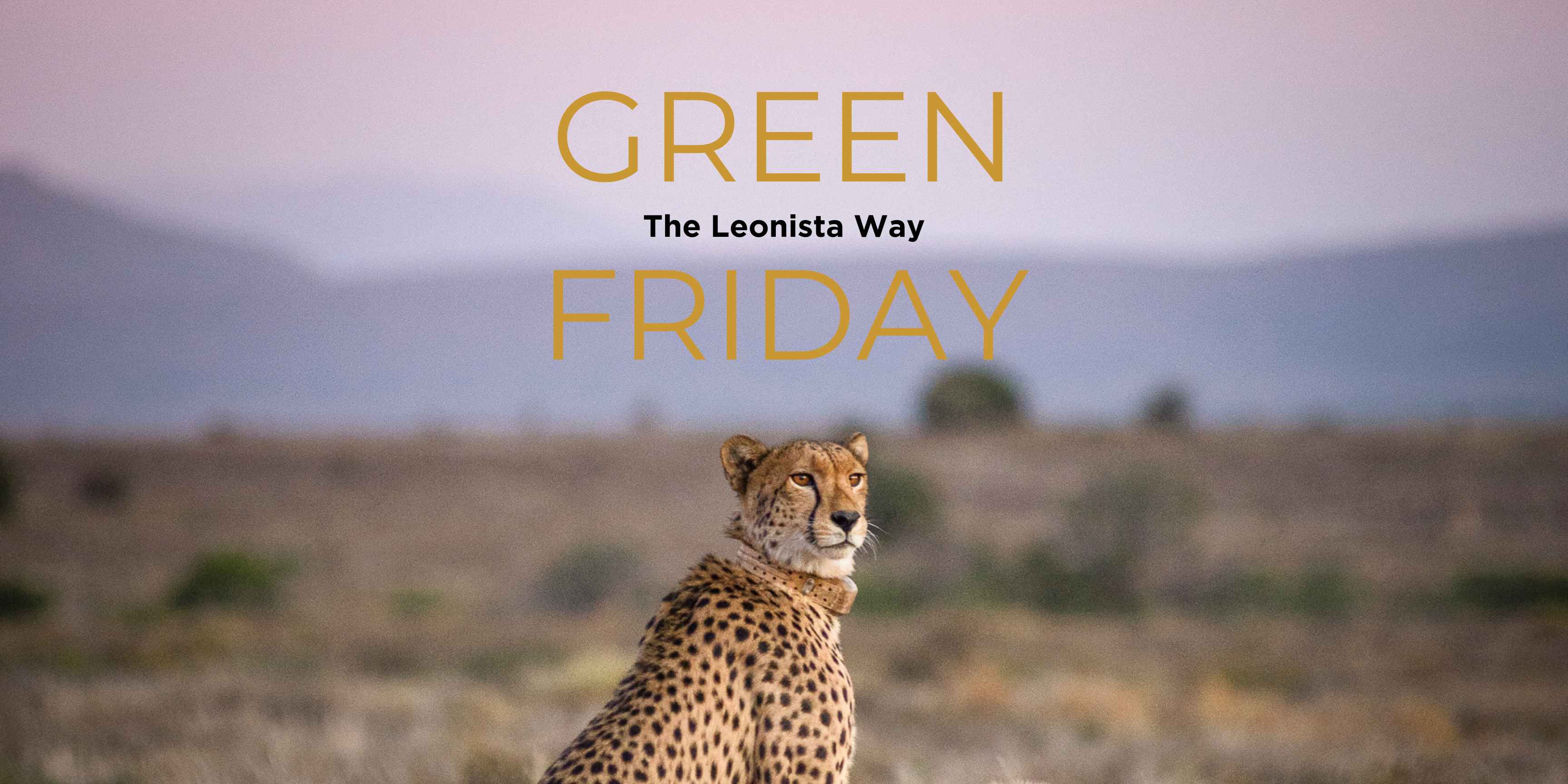 GREEN Friday