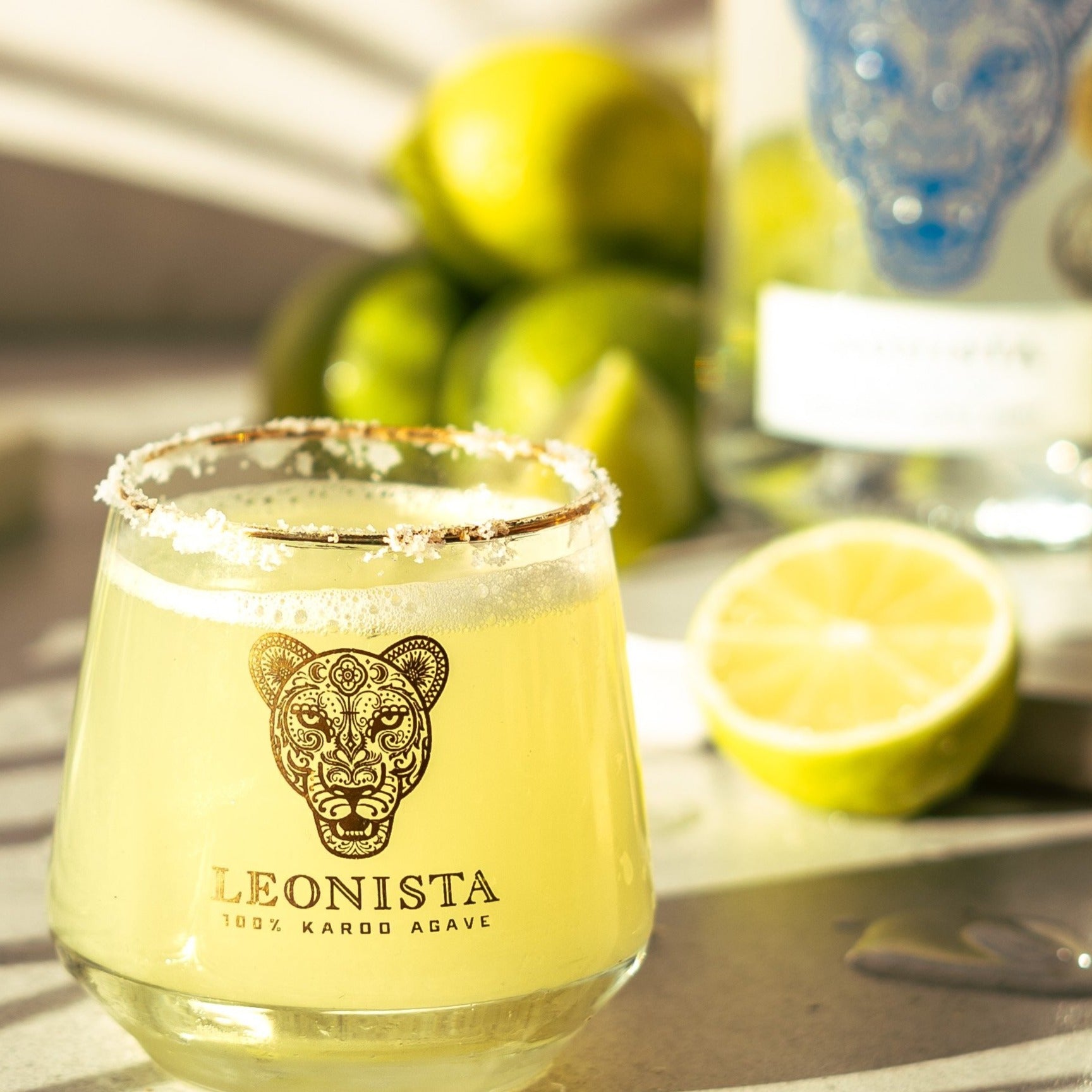 Deluxe Margarita Party Box