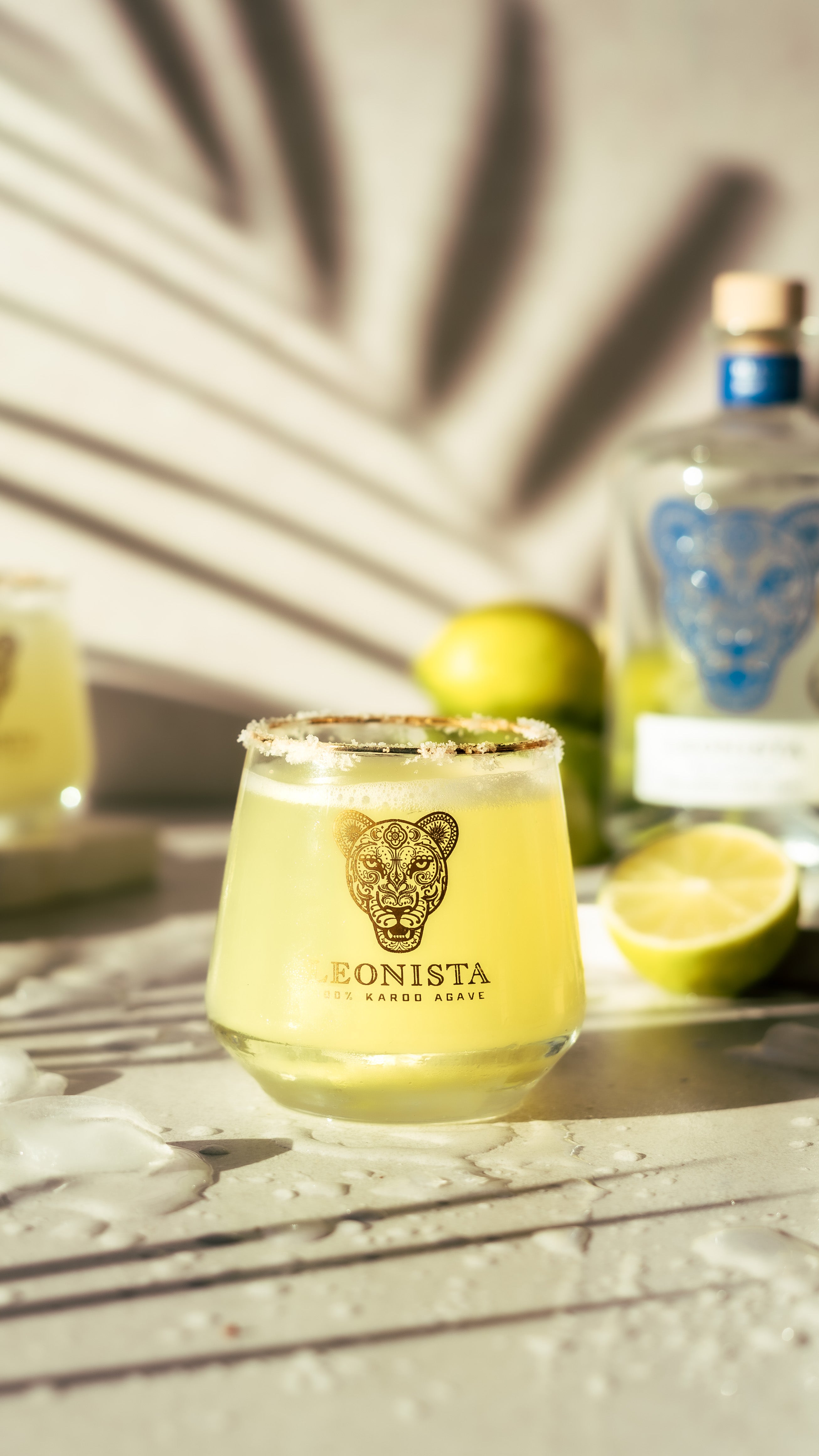 Leonista Tumblers - 2 pack